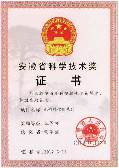 Anhui Science and Technology Award